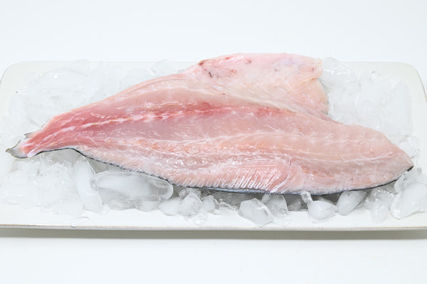 Kampachi Fillet - 1lb – Four Star Seafood and Provisions