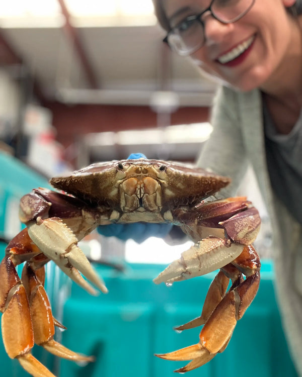 Four Star & Capt. Brand Little's Whale Safe Dungeness Crab Program Featured by Eater SF