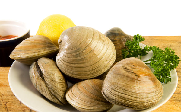 cherrystone clams on ice