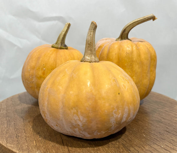 Koginut Squash - 2 lbs