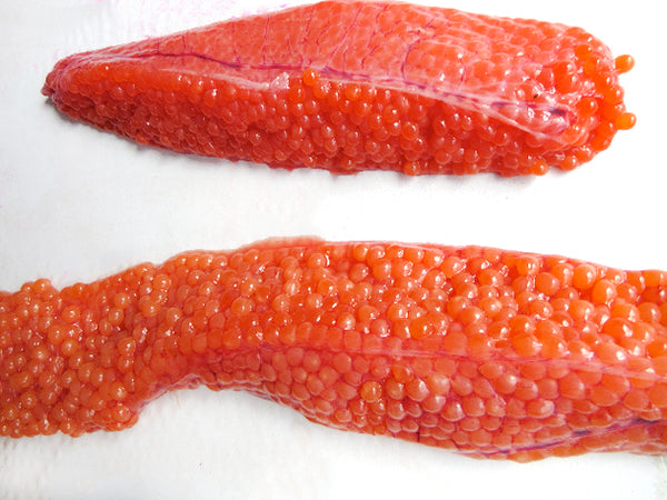 Chum Salmon Roe - 8oz