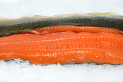 arctic char fillet on ice