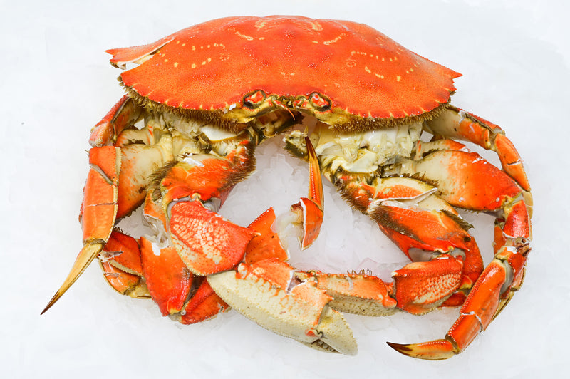 Cracked and Cleaned Dungeness Crab