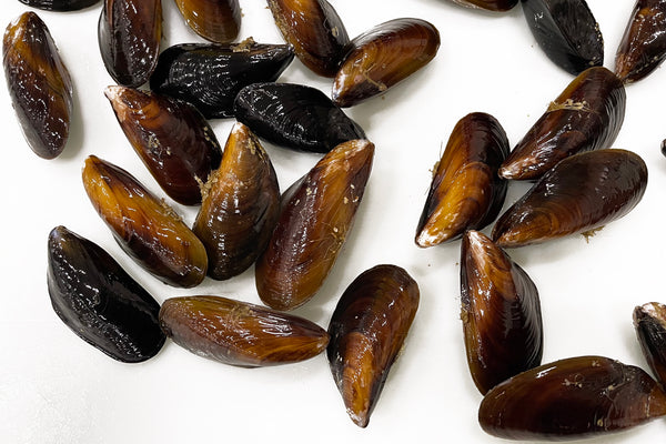 honey mussles scattered on a table