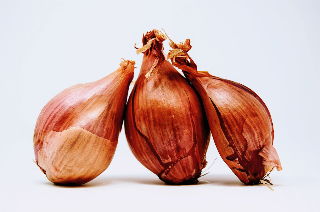 Shallots are One of the Worlds Main Cook Stock Image - Image of  originating, organ: 229806845