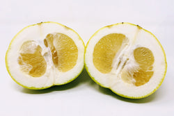 Oro Blanco Grapefruit 