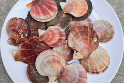 pink singing scallops on a plate