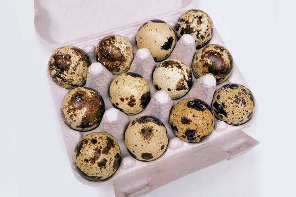 Quail Eggs