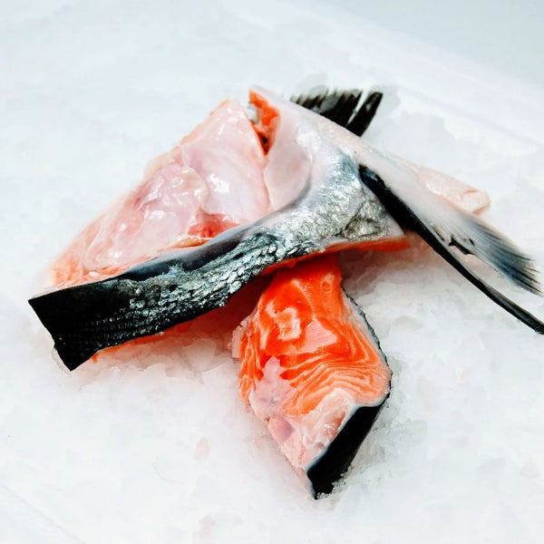 Salmon Collars - 1 lb – Four Star Seafood and Provisions