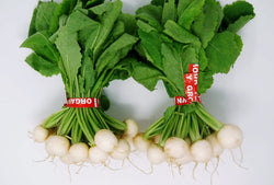 tokyo turnip bunches organic