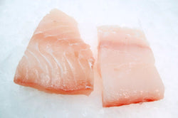 local halibut fillets without skin on ice