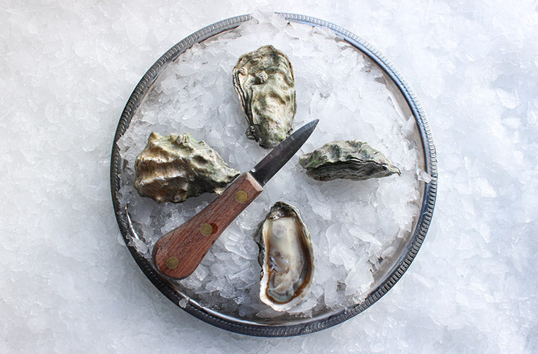 Hood Canal Oysters by the Dozen