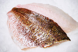 japanese madai fillet